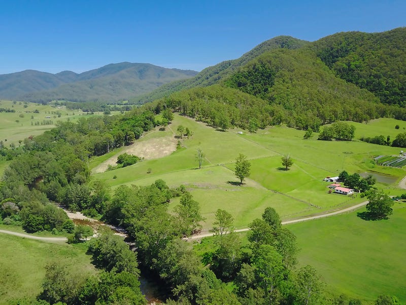 602 Littles Loop Road, Upper Rollands Plains, NSW 2441