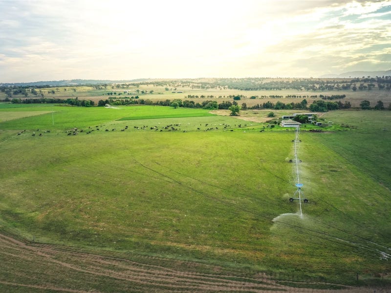 340 Blairmore Lane, Aberdeen, NSW 2336 Property Details