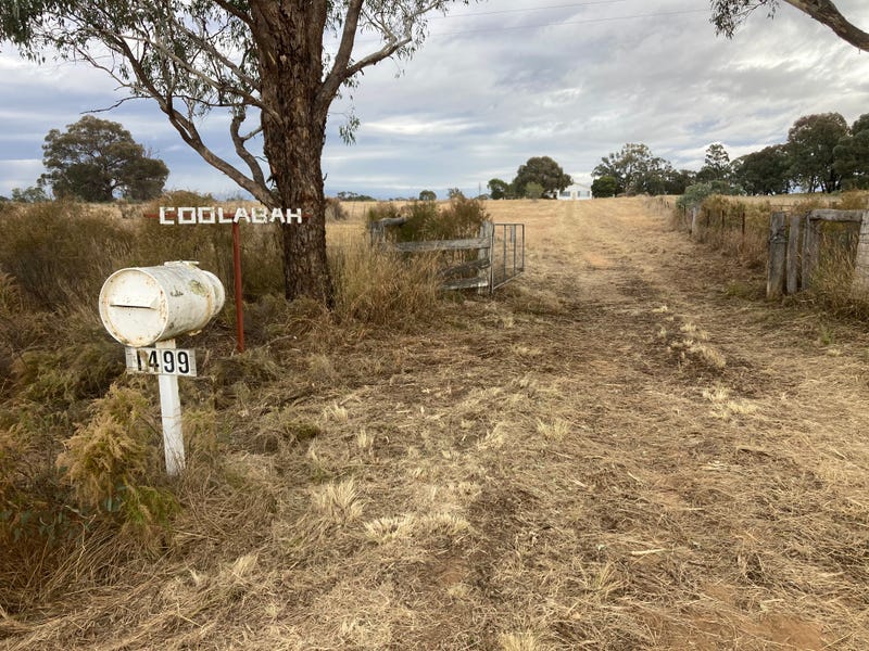 "Coolabah" 1499 Brooks Road, Binnaway, NSW 2395 Lifestyle for Sale