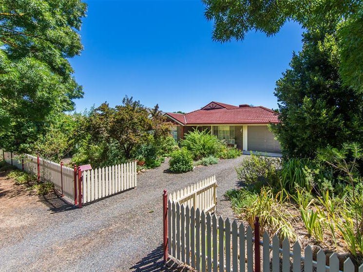 43 Angas Street, Tanunda, SA 5352 Property Details