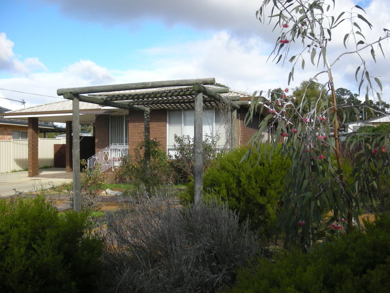 103 clayton rd, Narrogin, WA 6312 Property Details