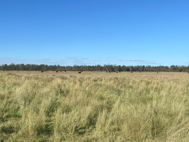 " Burigala ", Moonie, Qld 4406 Property Details