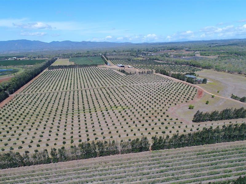 3 Hansen Road, Walkamin, Qld 4872 Property Details