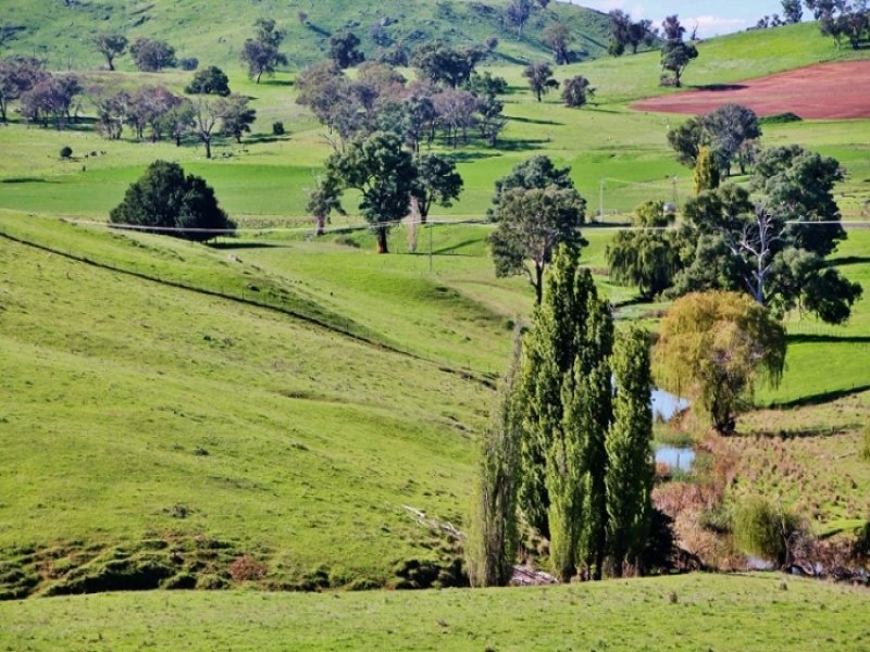 132 Dowling Drive, Murringo, NSW 2586