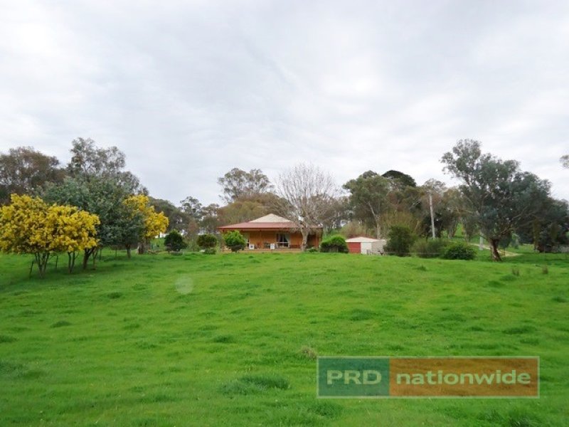 145 Todds Road, Adelong, NSW 2729 Property Details
