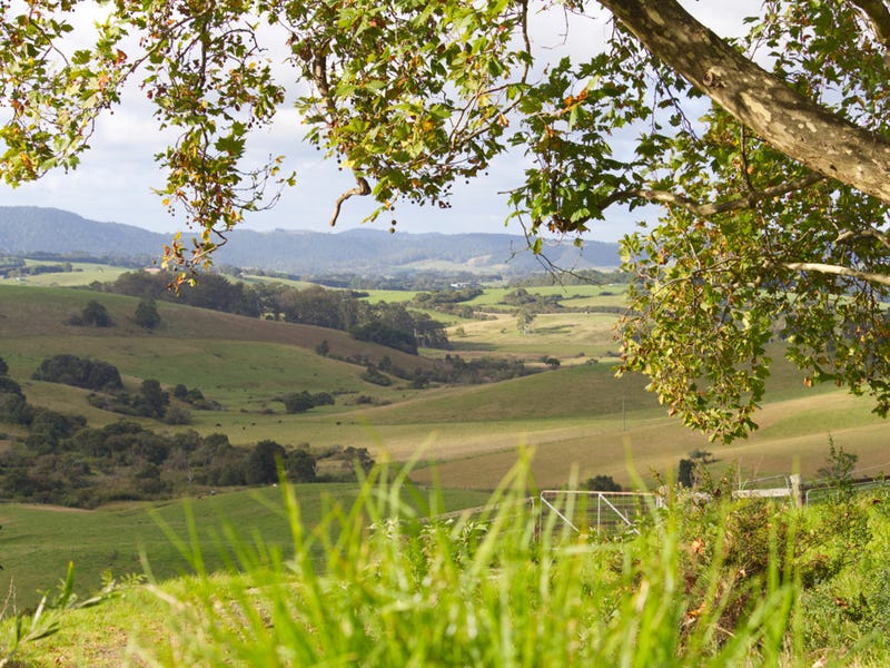 746 Whisky Creek Road, Dorrigo, NSW 2453 Property Details