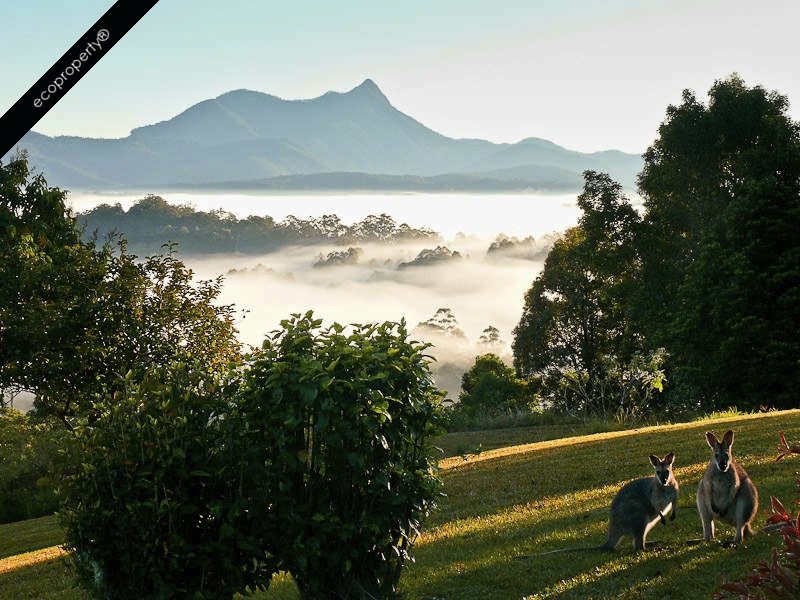 273 Mount Burrell Road, Mount Burrell, NSW 2484