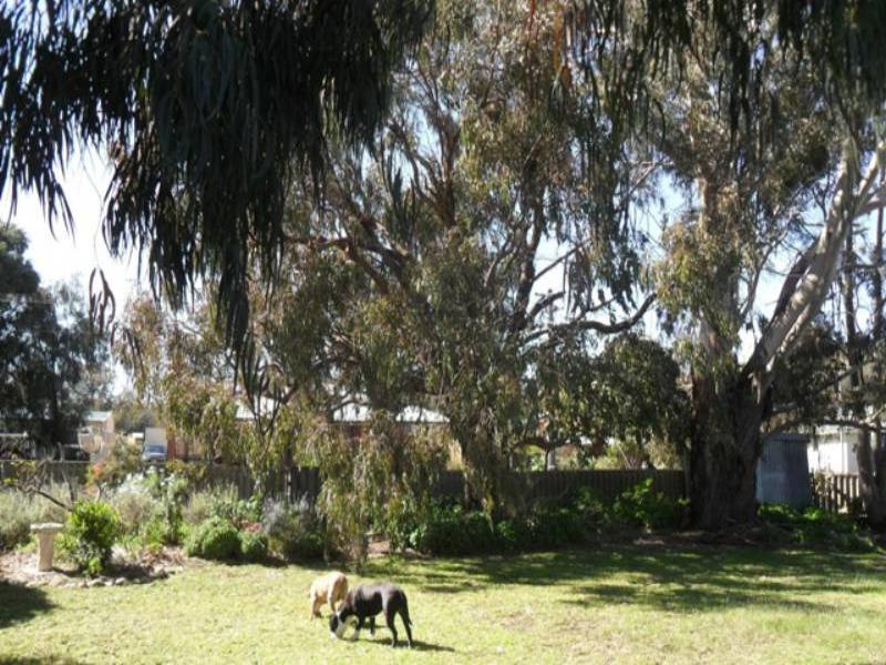 38 Goodwood Road, Capel, WA 6271