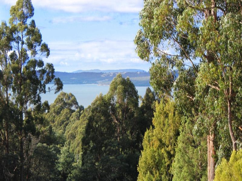 99 Slab Road, Middleton, TAS 7163