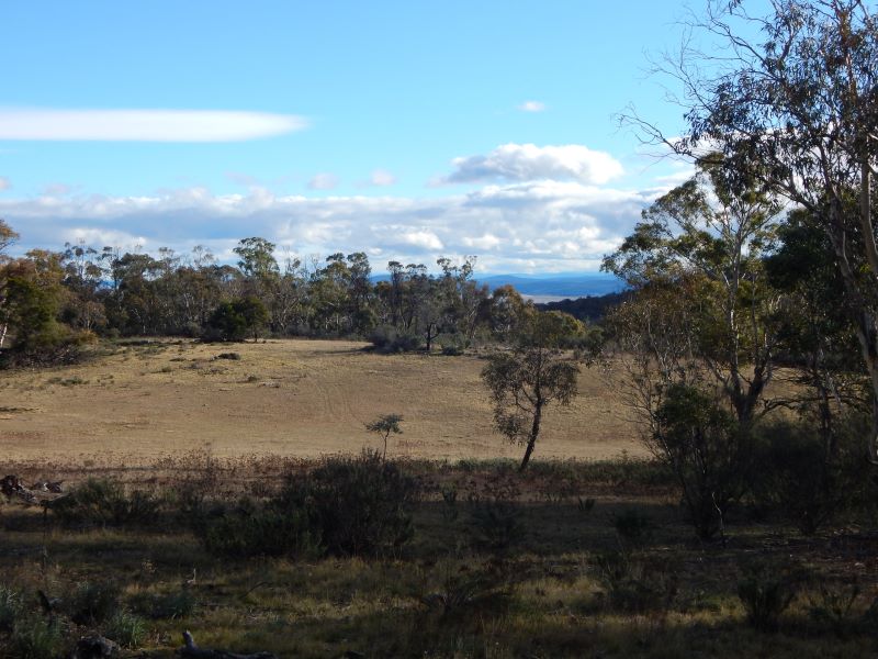 Lot 106 & 116 Collins Road, Numeralla, NSW 2630 - Property Details