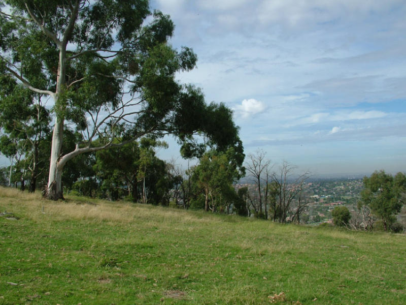 102 Churchill Park Drive, Lysterfield South, VIC 3156