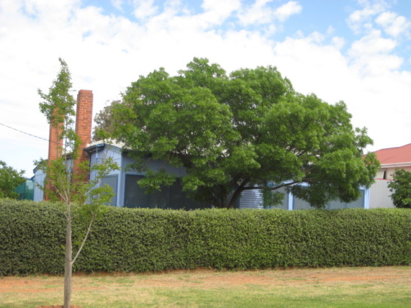 120 Vesper Street, Temora, NSW 2666