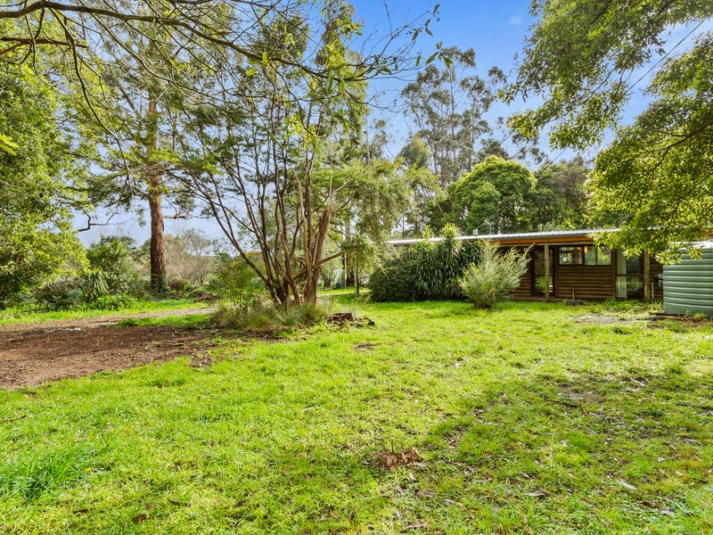 16 Frederick Street, Red Hill, VIC 3937