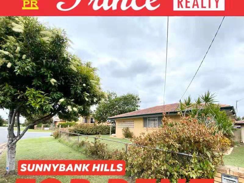 41 Dennistoun Street, Sunnybank Hills, QLD 4109 - realestate.com.au