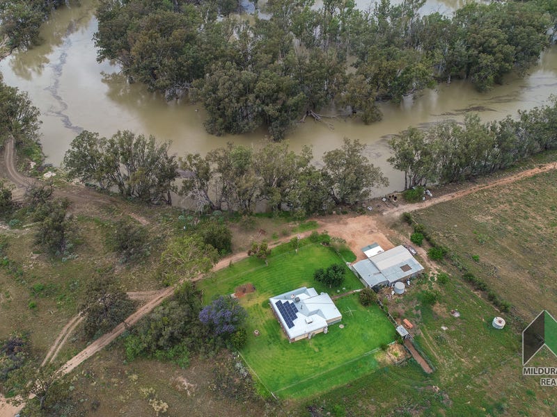 3376 Low Darling Rd, Wentworth, NSW 2648 Lifestyle for Sale