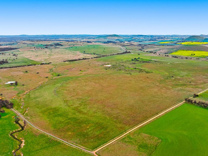 2312 CreswickNewstead Road, Smeaton, Vic 3364 Livestock for Sale