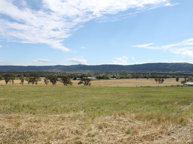 53 Allan Cunningham Road, Scone, NSW 2337