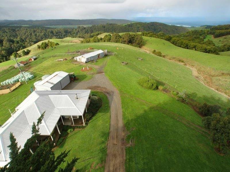 385 Blue Johanna Road, Johanna, Vic 3238 Property Details