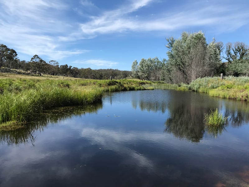 Rural properties for Sale in Guyra, NSW 2365