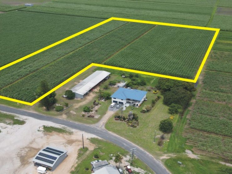 1, Hamleigh Road, Ingham, Qld 4850 Cropping for Sale