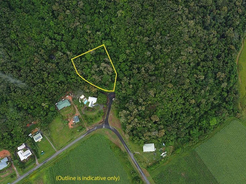 Lot 4 Dagmar Close, Lower Daintree, QLD 4873