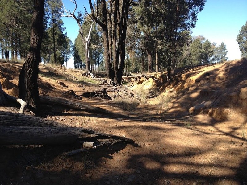 642 Appletree Flat Road, Mendooran, NSW 2842