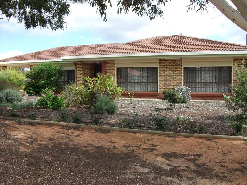 Section 571 Beames Road, Lyrup, SA 5343 Property Details