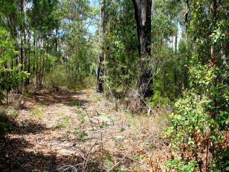 Lot 71 Woodward Close, Dirty Creek, NSW 2456