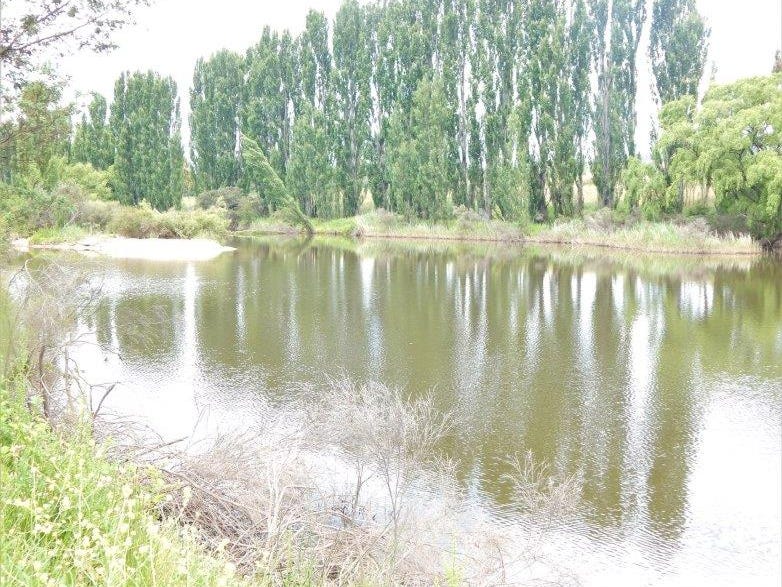 195 Lowanna Way, Rose Valley, NSW 2630