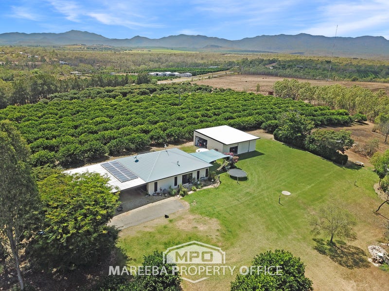 50 Cobra Road, Mareeba, Qld 4880 Horticulture for Sale realestate