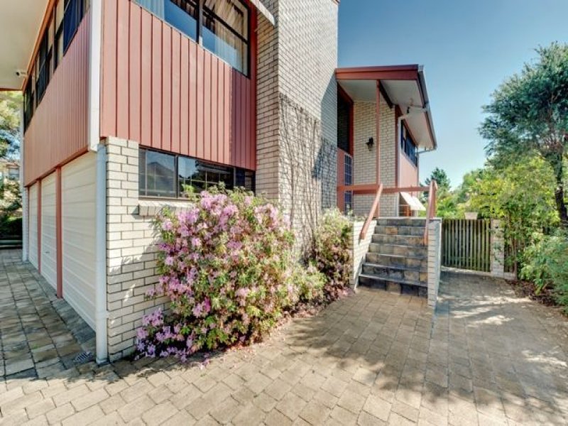 3 Pavo Street, Camp Hill, QLD 4152