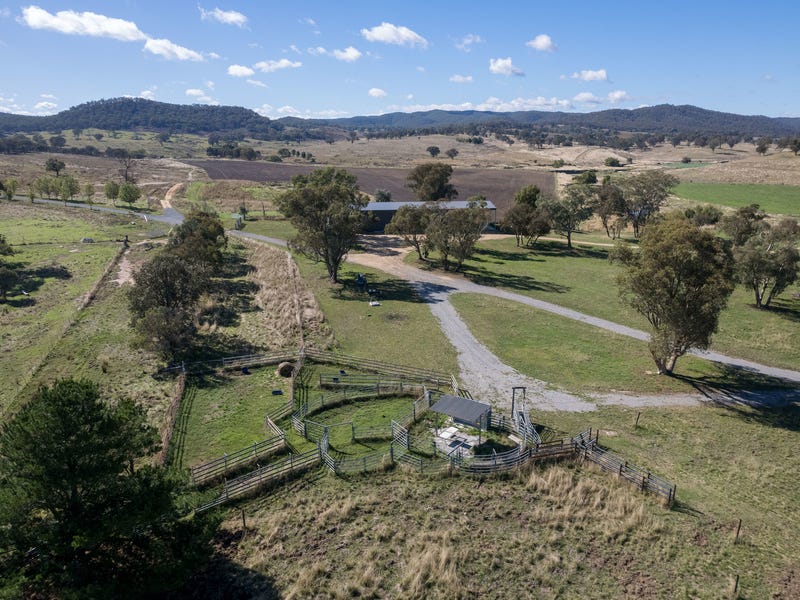 511 Cooksvale Road, Crookwell, NSW 2583 Livestock for Sale