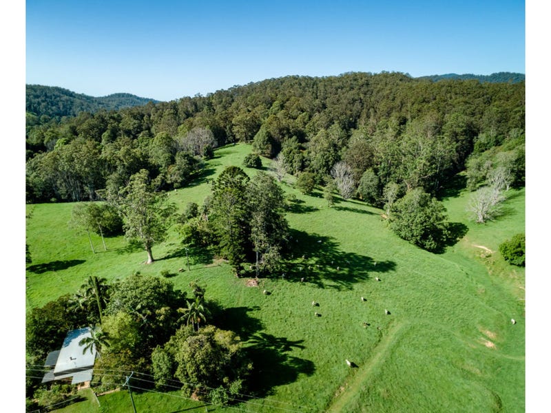 56 Sunny Corner Road, Bellingen, NSW 2454