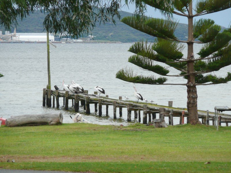 33 Panorama Caravan Park Big Grove, Albany, WA 6330 Property Details