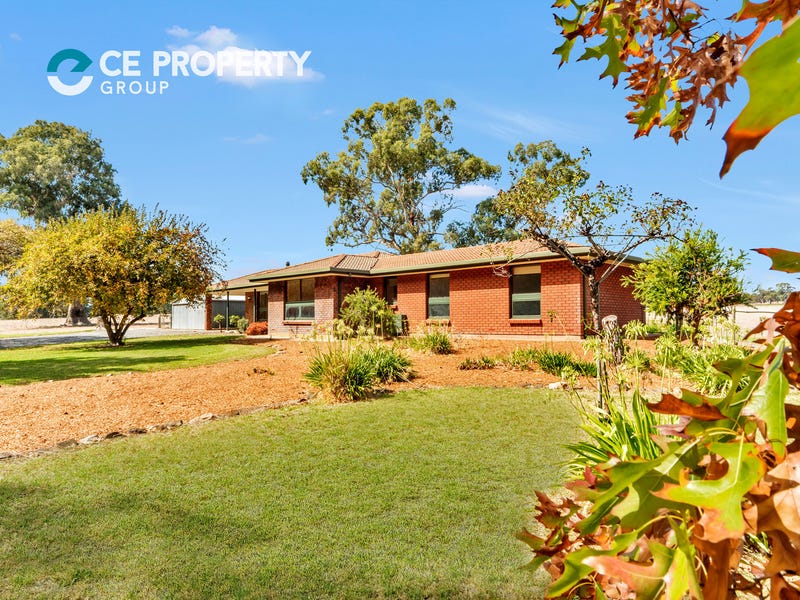 652 Forreston Road, Forreston, SA 5233 Property Details