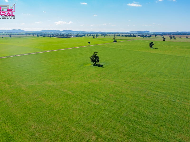 586 South Yalgogrin Road, Barellan, NSW 2665