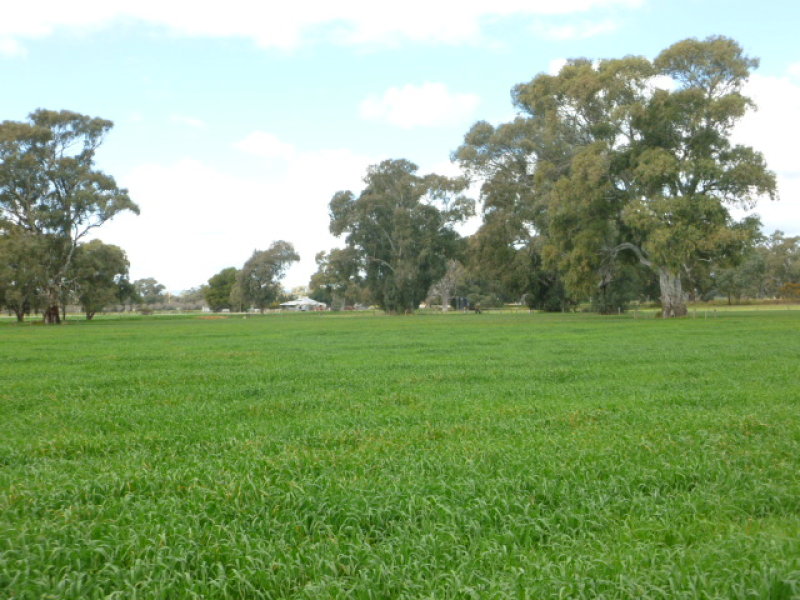 68 LauraBeetaloo Road, Laura, SA 5480 Property Details