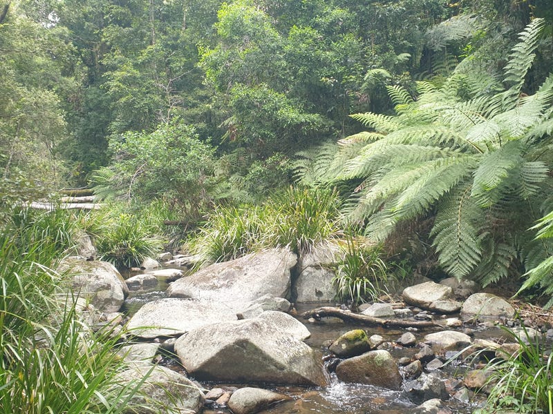 * Lands End Road,, Kingsgate, NSW 2370 Lifestyle for Sale