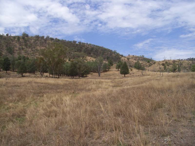 Property 7244984, Mudgee, NSW 2850 Property Details