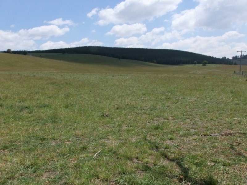 809 Dark Corner Road, Dark Corner, NSW 2795