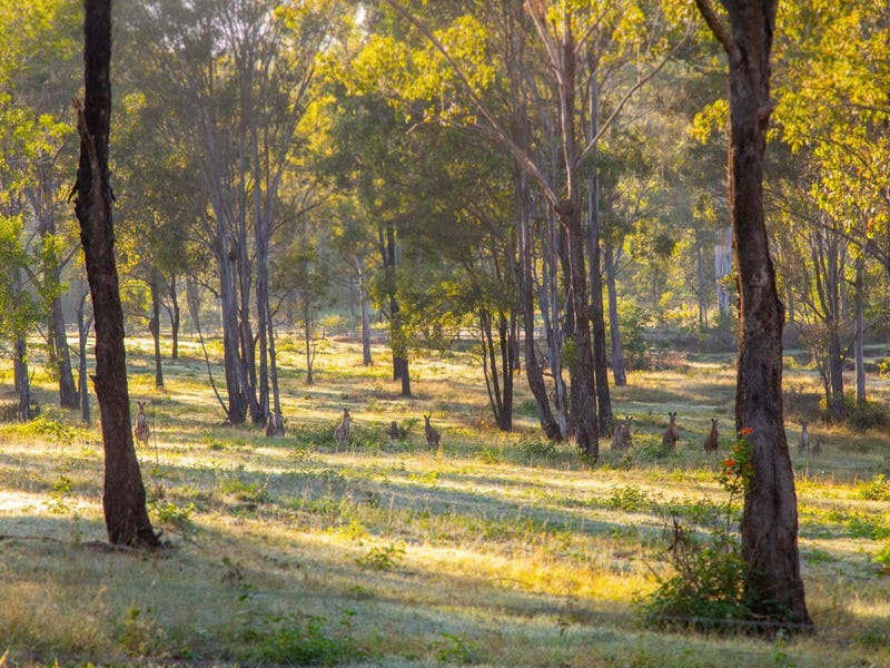 34 Bodley Road, Karrabin, Qld 4306 House for Sale