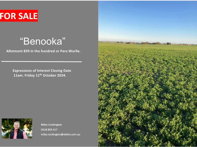 13528 Yorke Highway, Warooka, SA 5577 Cropping for Sale realestate