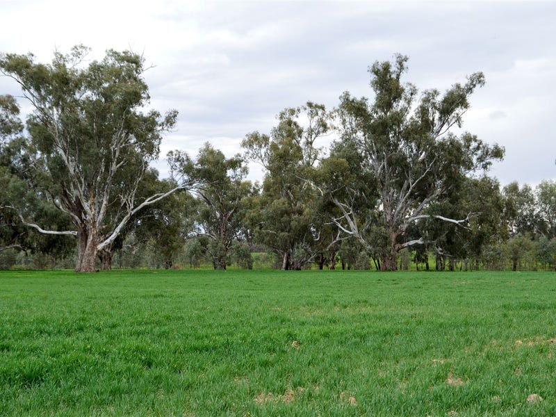 3931 Old Narrandera Road, Currawarna, NSW 2650