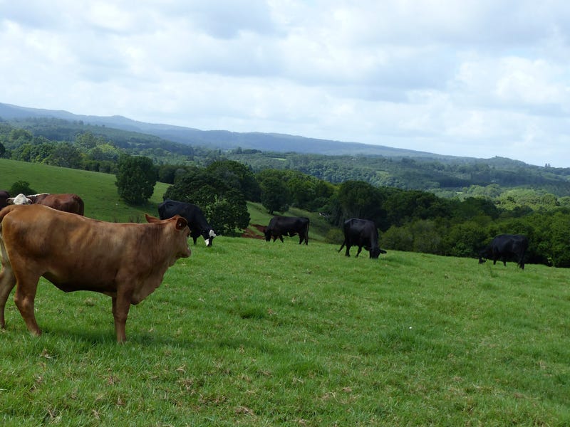 122 Fraser Road, Dunoon, NSW 2480 Property Details