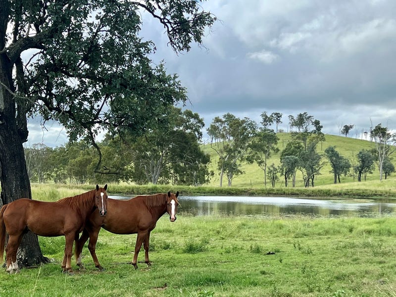 63 Seibenhausen Road, Goomeri, Qld 4601 Other for Sale realestate