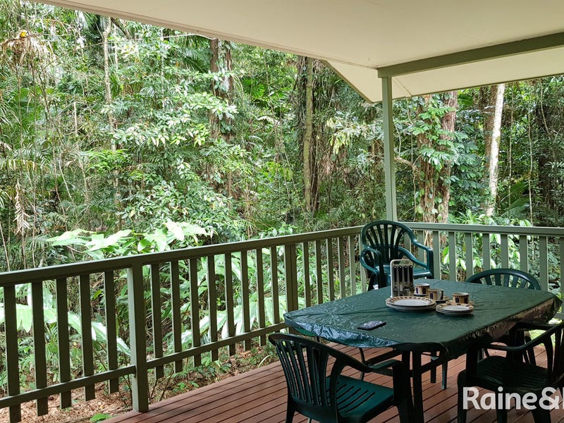 99 Black Bean Road, Cow Bay, Daintree, Qld 4873 House for Sale