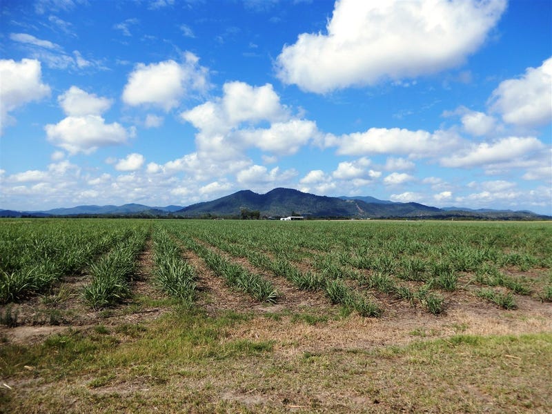 Marian Address Available On Request Cropping For Sale 700144306 