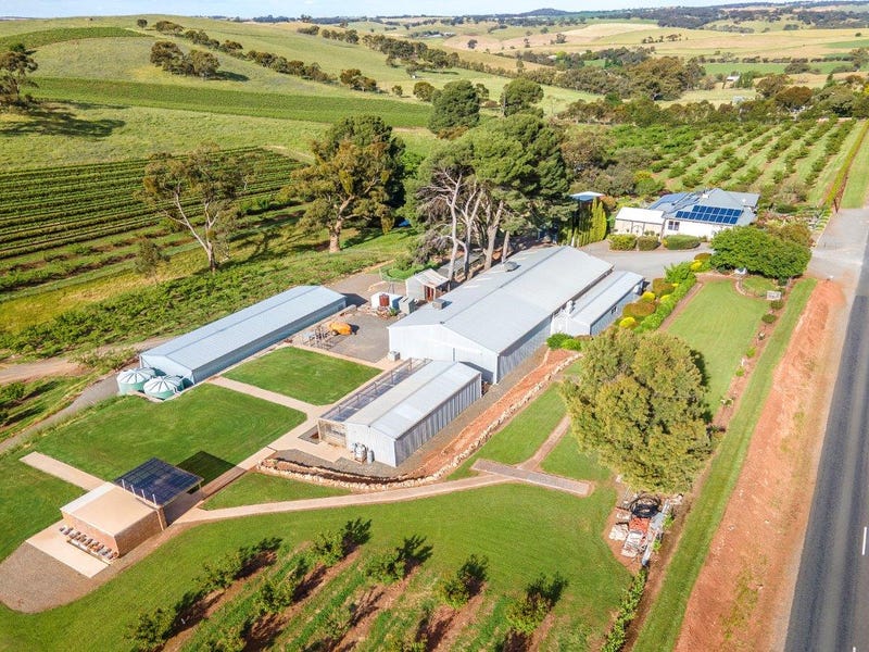 175 Gawler Park Road, Angaston, SA 5353 Viticulture/vineyard for Sale