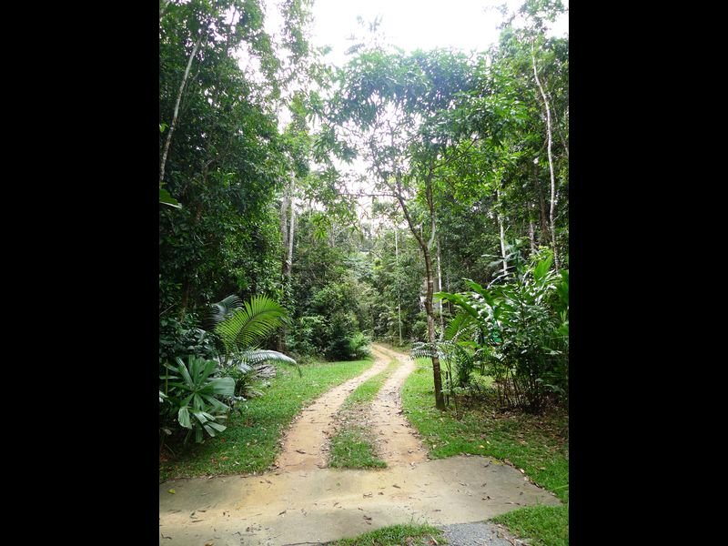 Lot/193 Stonewood Road, Diwan, Qld 4873 Property Details