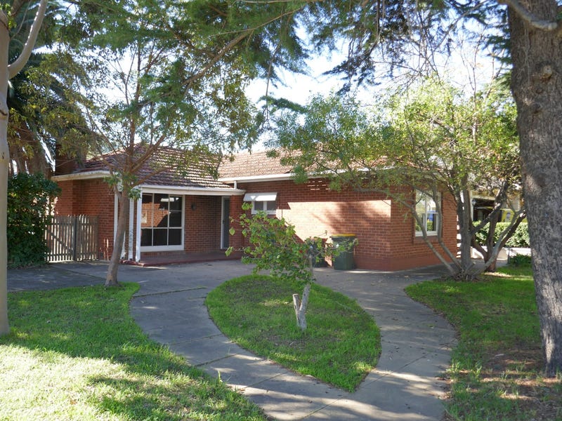 11 Coolah Terrace, Marion, SA 5043 - realestate.com.au